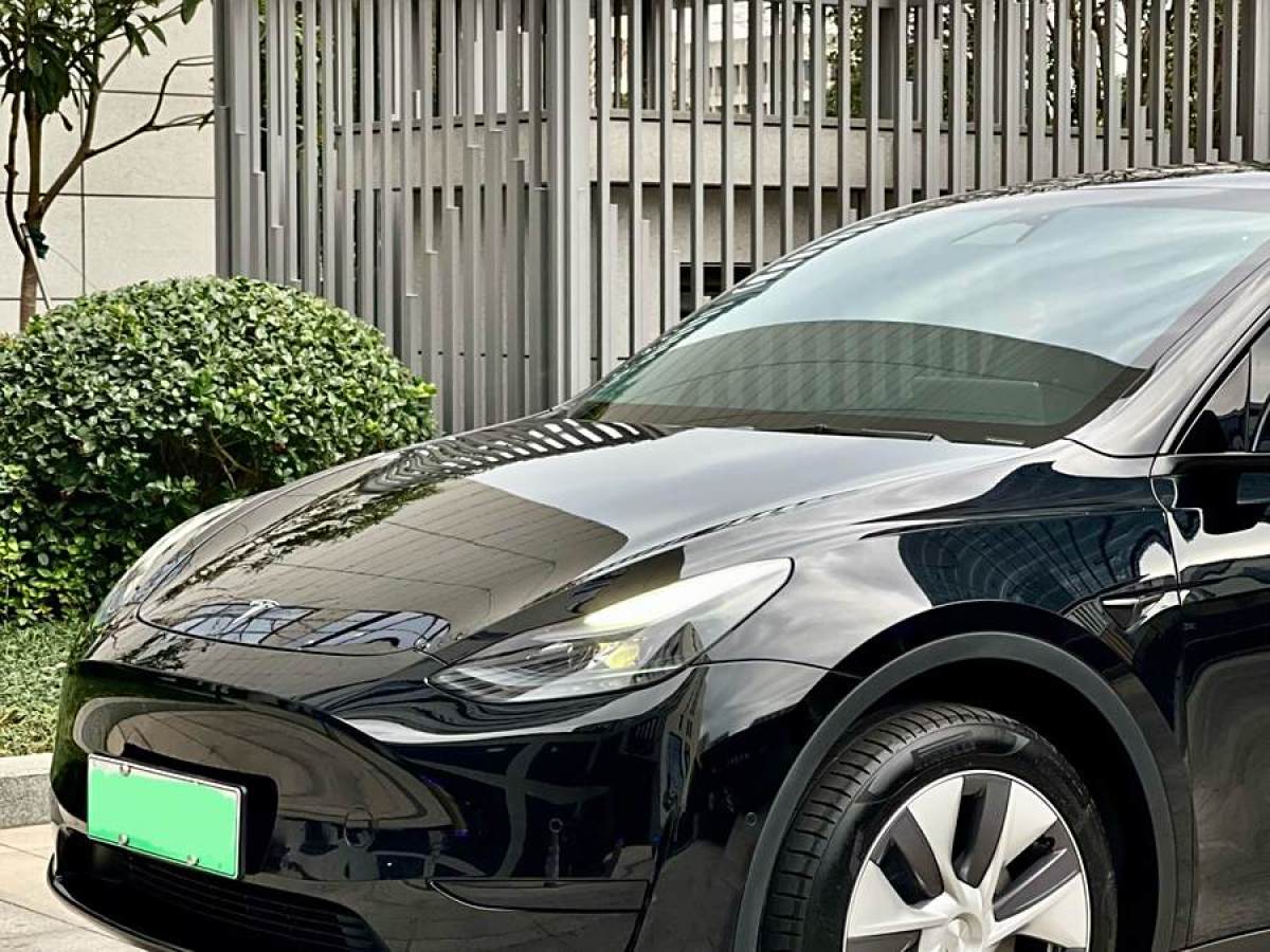 特斯拉 Model 3  2020款 改款 長續(xù)航后輪驅(qū)動版圖片