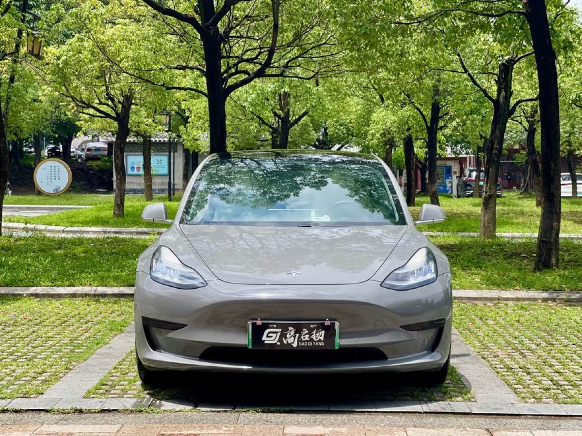 特斯拉 Model 3  2020款 改款 標準續(xù)航后驅升級版圖片