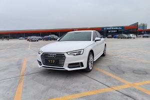 奥迪A4L 奥迪 30周年年型 40 TFSI 进取型