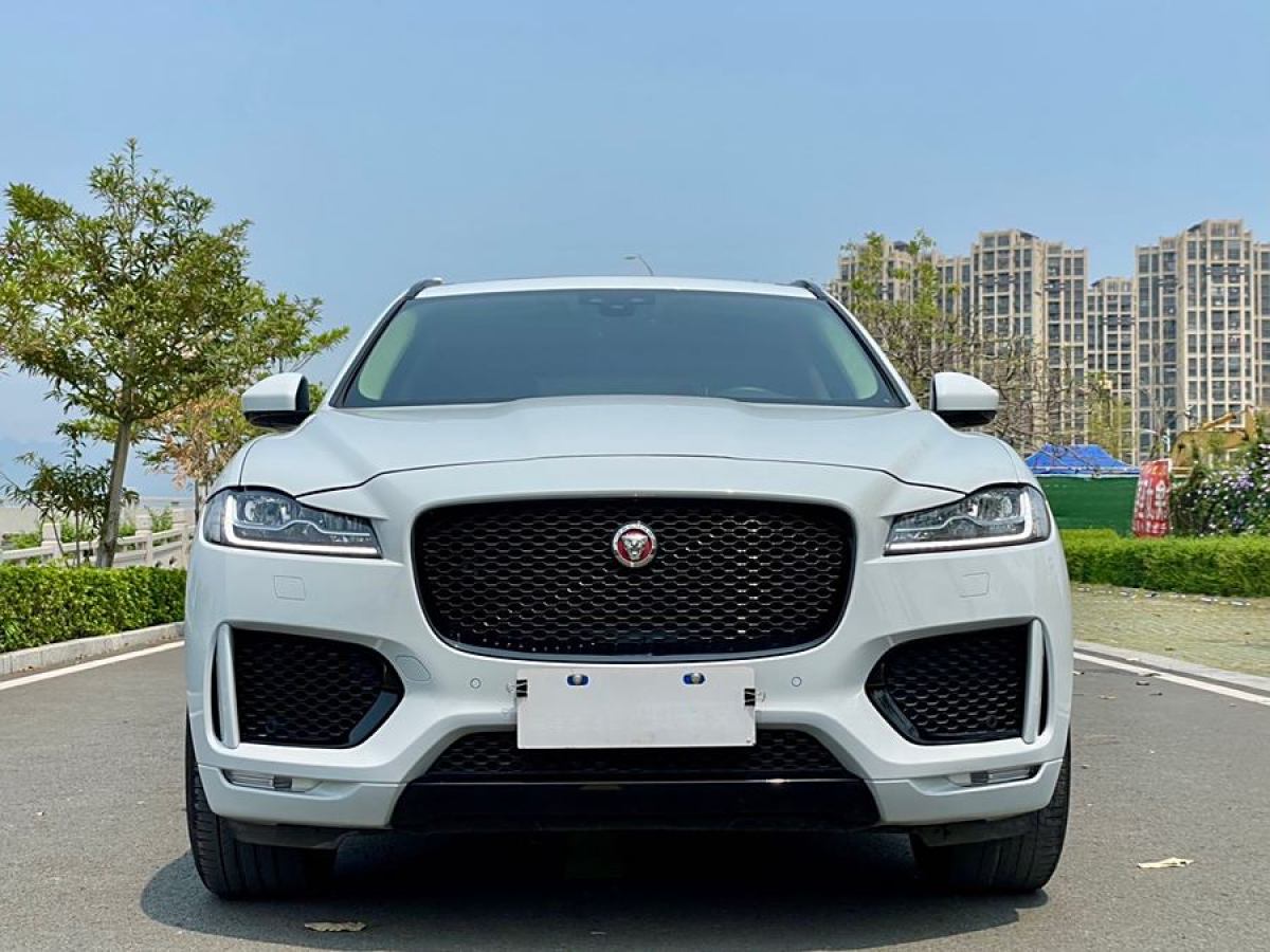 捷豹 F-PACE  2020款 2.0T 賽旗版圖片