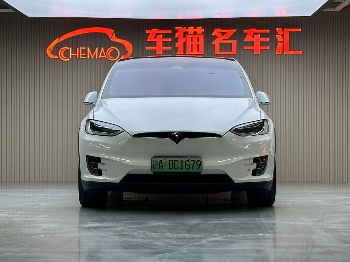 特斯拉 Model X  2016款 Model X 75D圖片