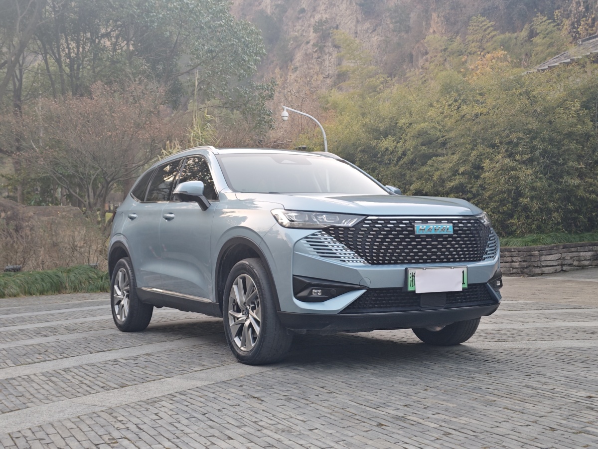 哈弗 哈弗H6新能源  2023款 DHT-PHEV 110KM 暢行版圖片