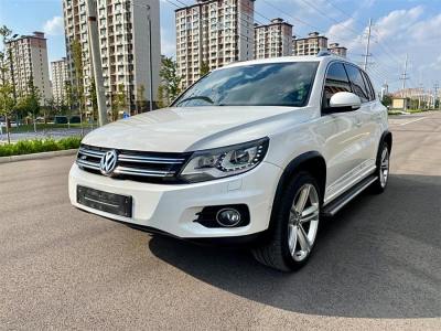 2013年1月 大眾 Tiguan(進口) 2.0TSI 專享版圖片