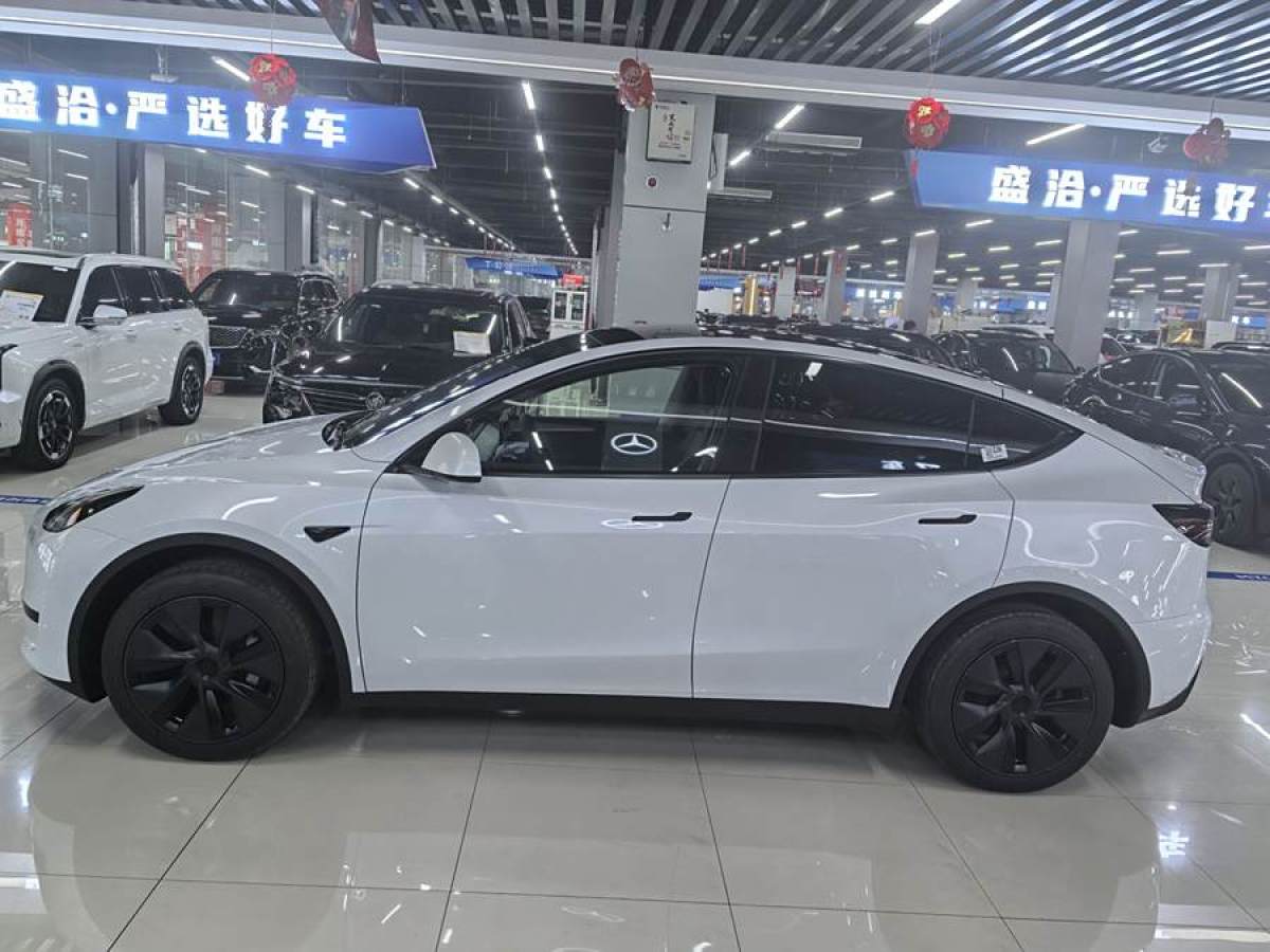 特斯拉 Model 3  2020款 改款 長續(xù)航后輪驅(qū)動版圖片