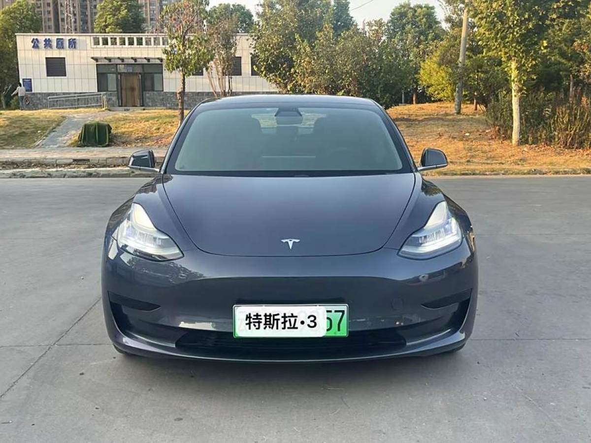 特斯拉 Model 3  2020款 改款 標(biāo)準(zhǔn)續(xù)航后驅(qū)升級(jí)版圖片