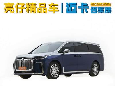 2024年12月 嵐圖 夢想家 PHEV 四驅(qū)尊貴鯤鵬版圖片