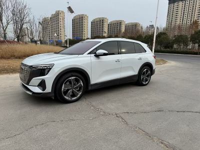 2022年2月 奧迪 奧迪Q5 e-tron 40 e-tron 星耀型 錦衣套裝圖片