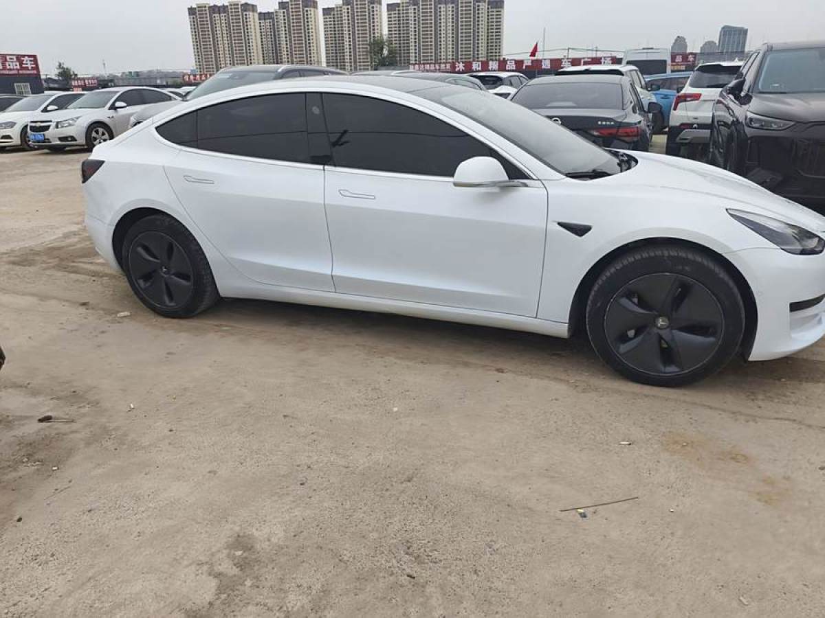 特斯拉 Model 3  2019款 標(biāo)準(zhǔn)續(xù)航后驅(qū)升級版圖片