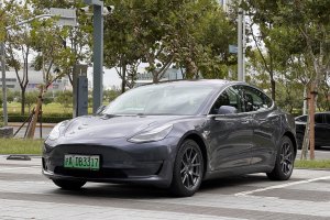 Model 3 特斯拉 长续航全轮驱动版