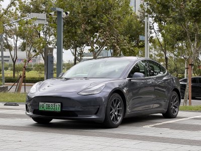 2019年3月 特斯拉 Model 3 长续航全轮驱动版图片