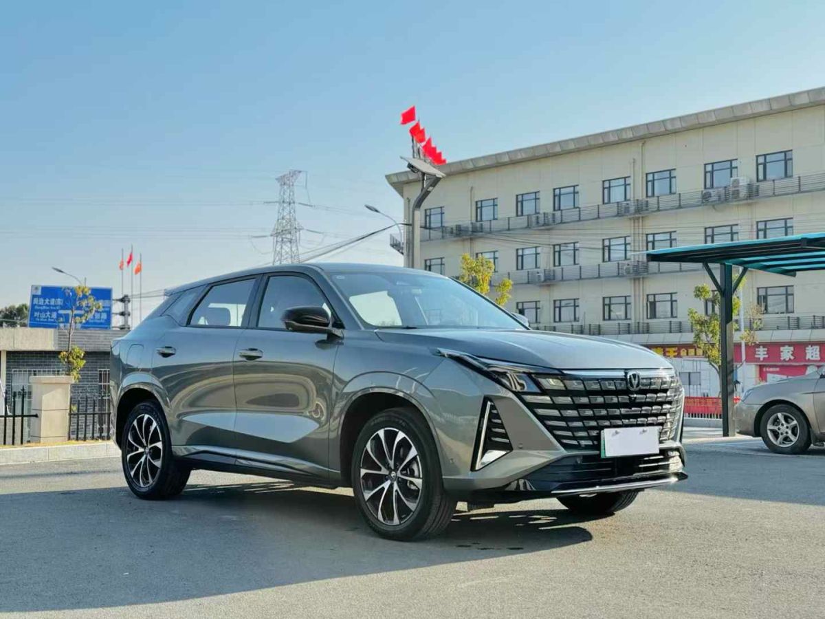 長(zhǎng)安跨越 新豹T3 EV  2024款 單排豪華版 倉(cāng)柵車圖片