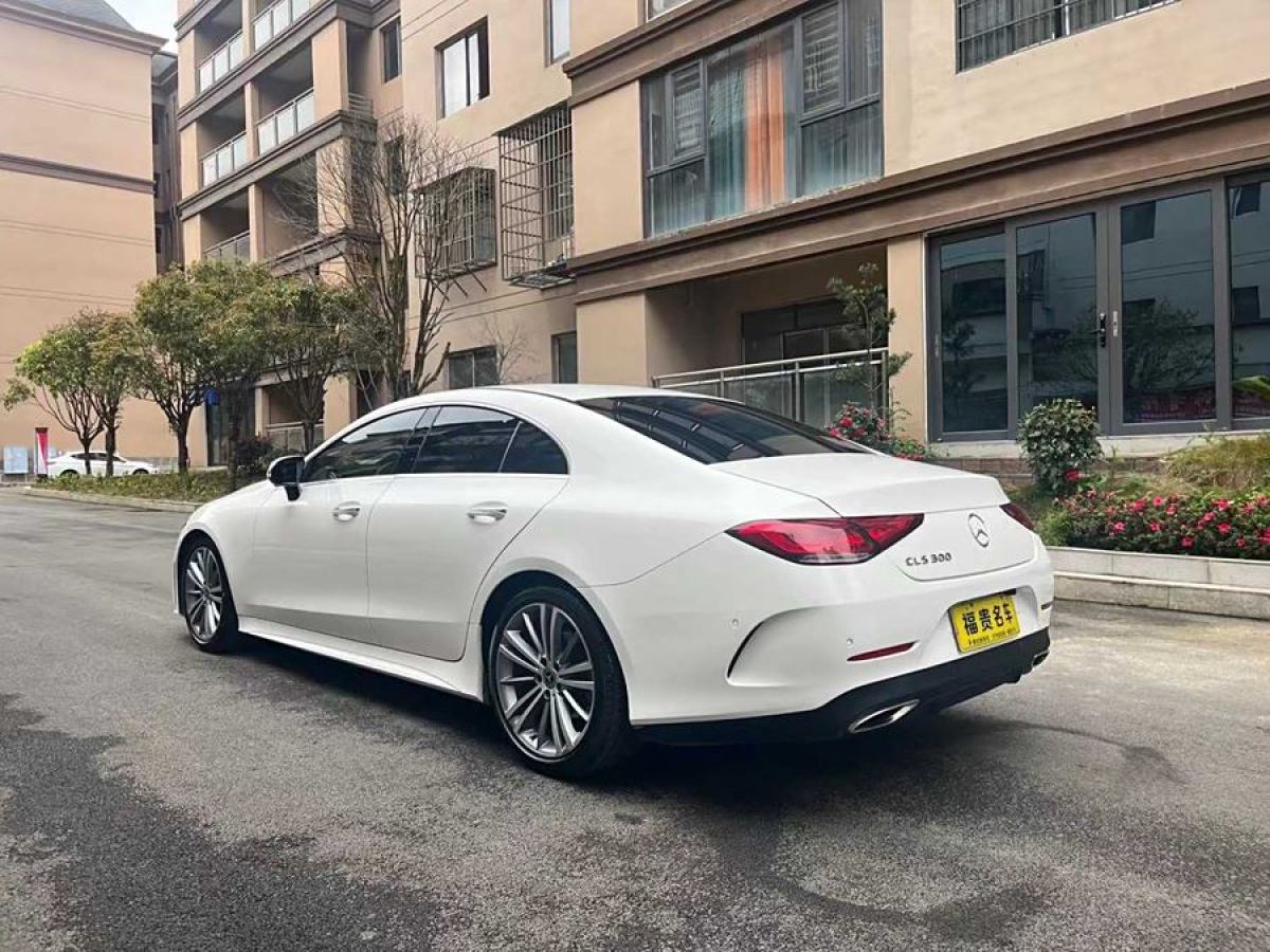 奔馳 奔馳CLS級(jí)  2018款 CLS 300 豪華型圖片