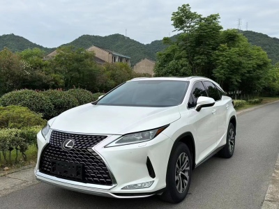 2020年1月 雷克萨斯 RX 300 两驱精英版 国VI图片