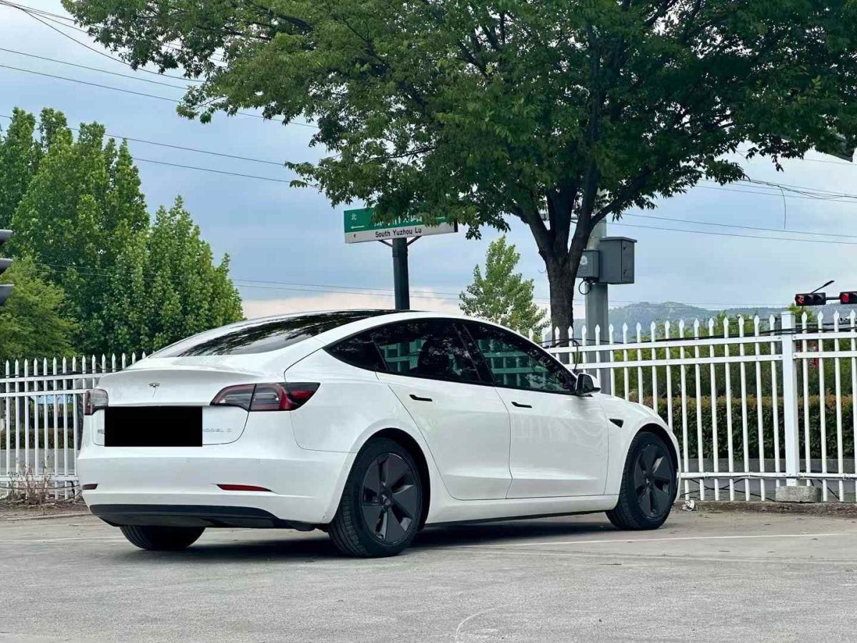 特斯拉 Model Y  2021款 標準續(xù)航后驅(qū)版圖片