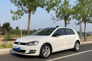 高爾夫 大眾 230TSI 自動舒適百萬輛紀(jì)念版