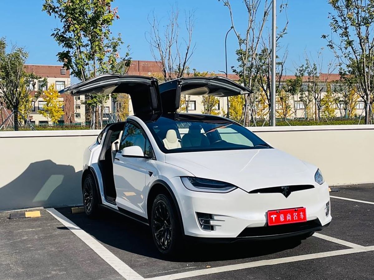 特斯拉 Model X  2019款 長續(xù)航版圖片