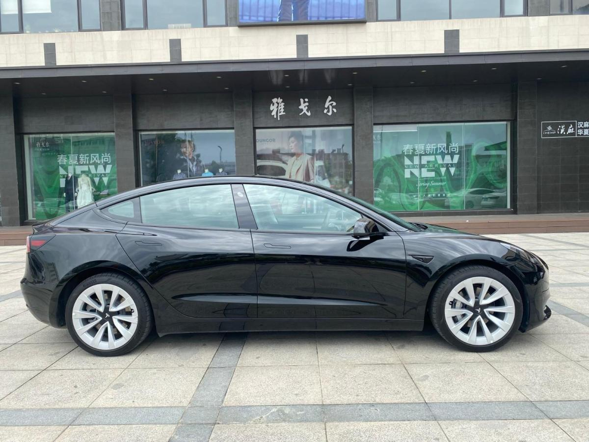 特斯拉 Model 3  2021款 標(biāo)準(zhǔn)續(xù)航后驅(qū)版圖片