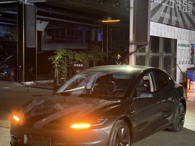 2024年8月 特斯拉 Model 3 煥新版 后輪驅(qū)動圖片