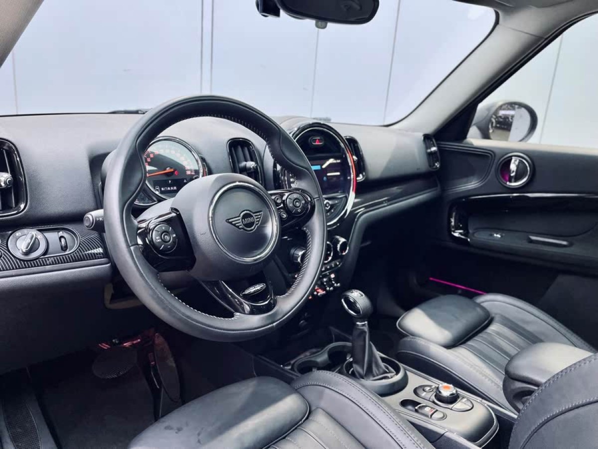 MINI COUNTRYMAN  2018款 2.0T COOPER S ALL4 藝術(shù)家圖片