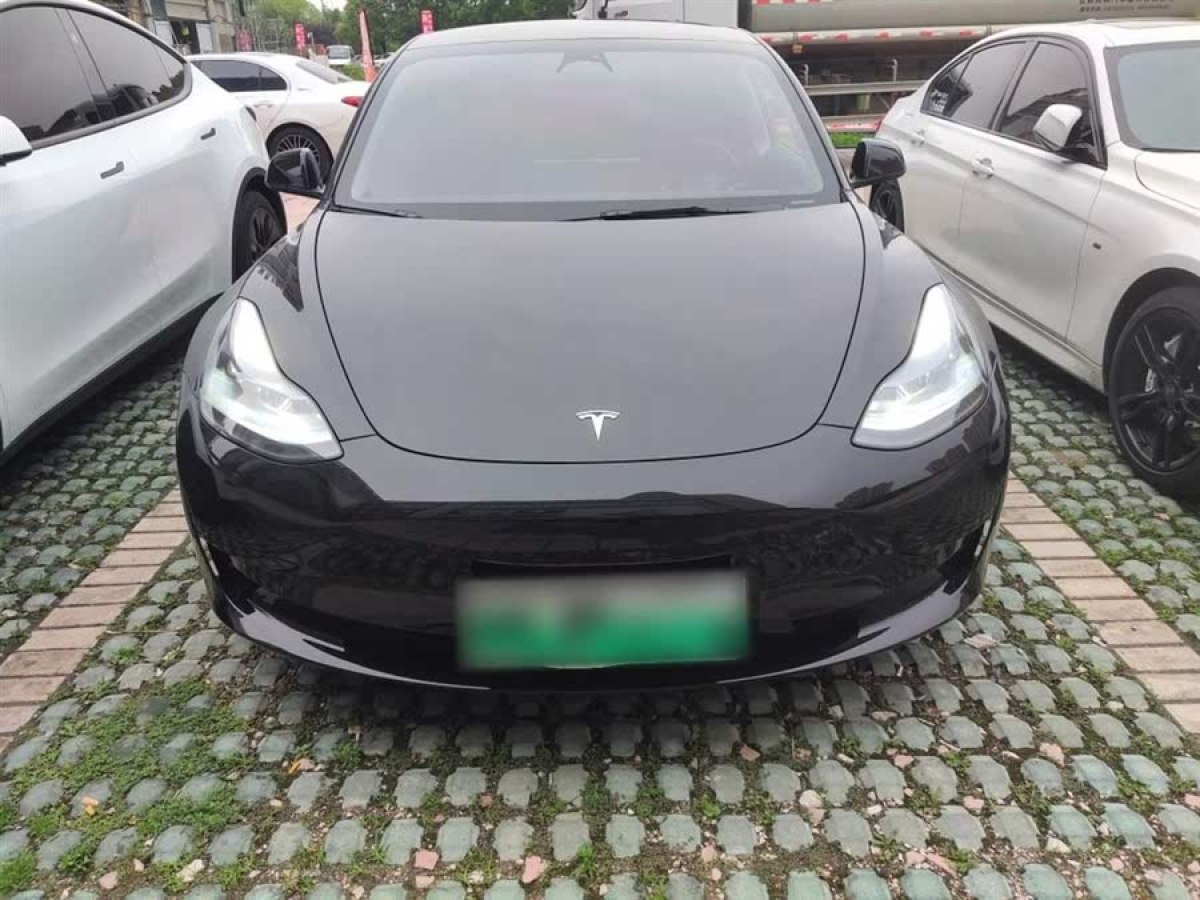 特斯拉 Model 3  2022款 后輪驅(qū)動版圖片