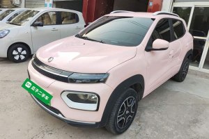 納米BOX 東風(fēng)新能源 冠軍款 輕風(fēng)版 201KM 標(biāo)準(zhǔn)型