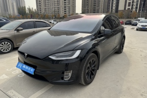 Model X 特斯拉 Model X 100D 长续航版