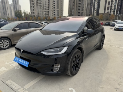 特斯拉 Model X Model X 100D 長續(xù)航版圖片