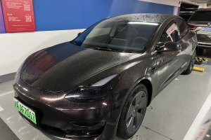 Model 3 特斯拉 标准续航后驱升级版