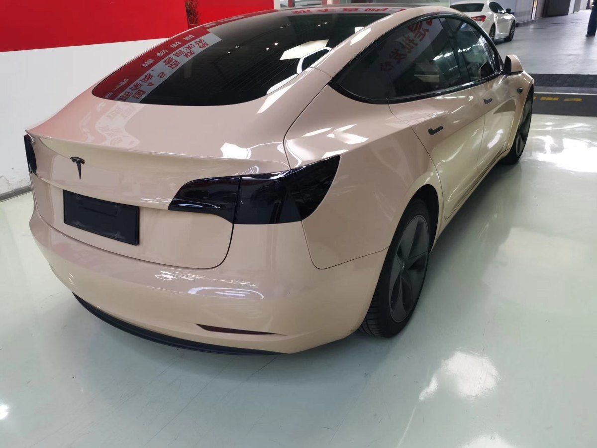 特斯拉 Model 3  2019款 標(biāo)準(zhǔn)續(xù)航后驅(qū)升級(jí)版圖片