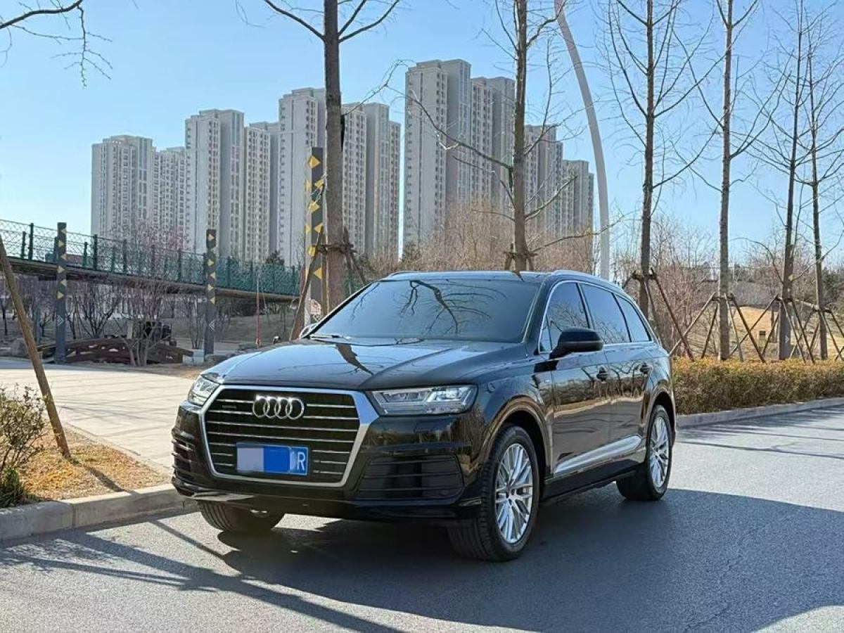 奧迪 奧迪Q7  2018款 45 TFSI 技術(shù)型圖片