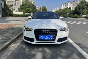 奥迪A5 奥迪 Cabriolet 45 TFSI