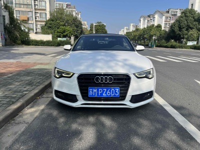 2015年9月 奧迪 奧迪A5(進口) Cabriolet 45 TFSI圖片