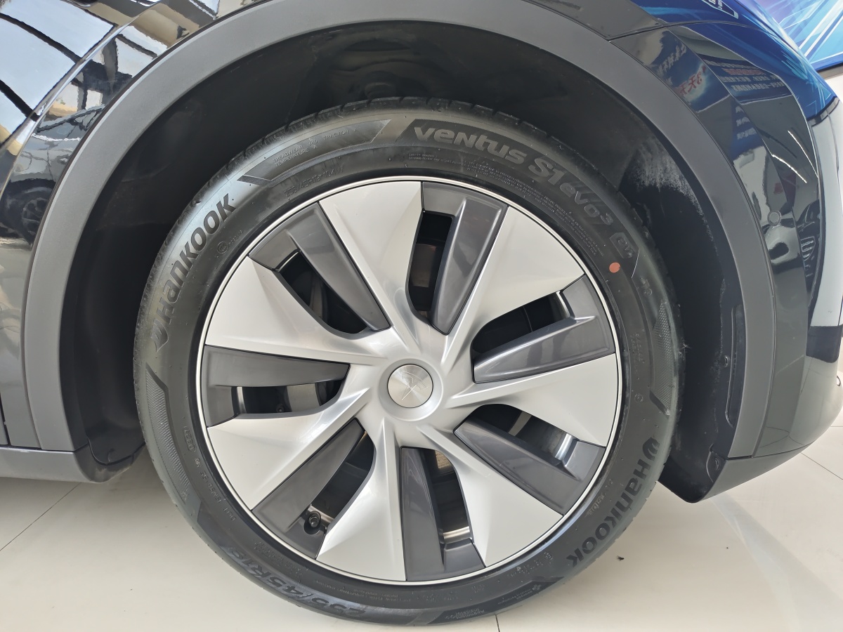 特斯拉 Model Y  2021款 標準續(xù)航后驅(qū)版圖片