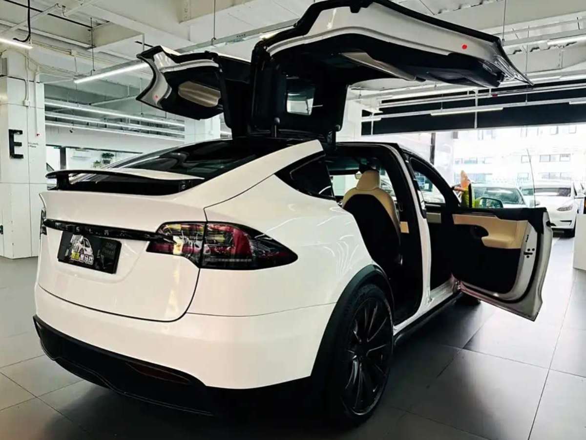 2023年5月特斯拉 Model X  2023款 雙電機(jī)全輪驅(qū)動版