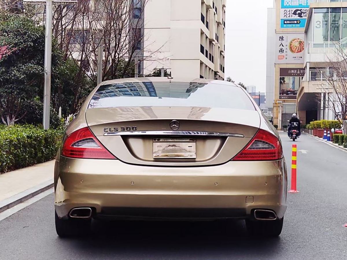 奔馳 奔馳CLS級(jí)  2009款 CLS 300圖片