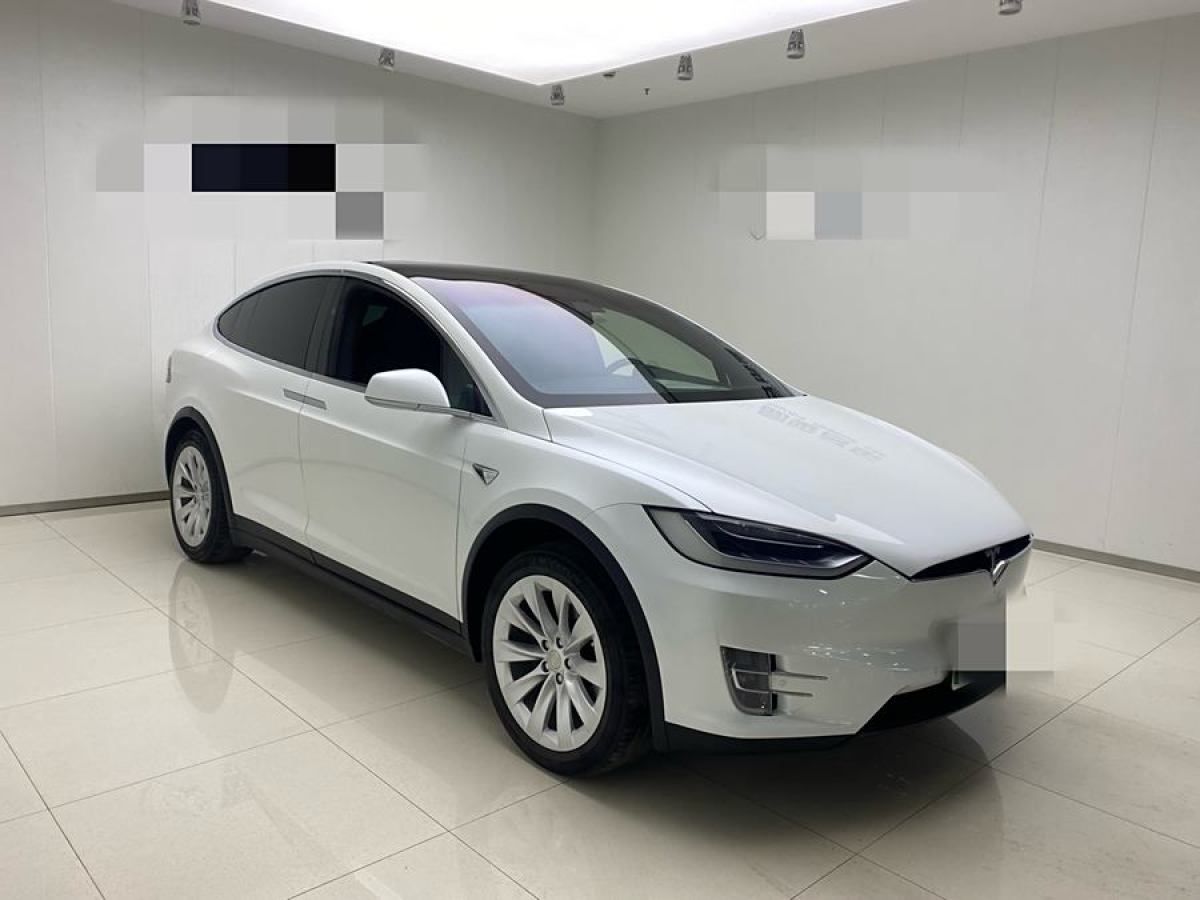 特斯拉 Model X  2017款 Model X 100D 長續(xù)航版圖片