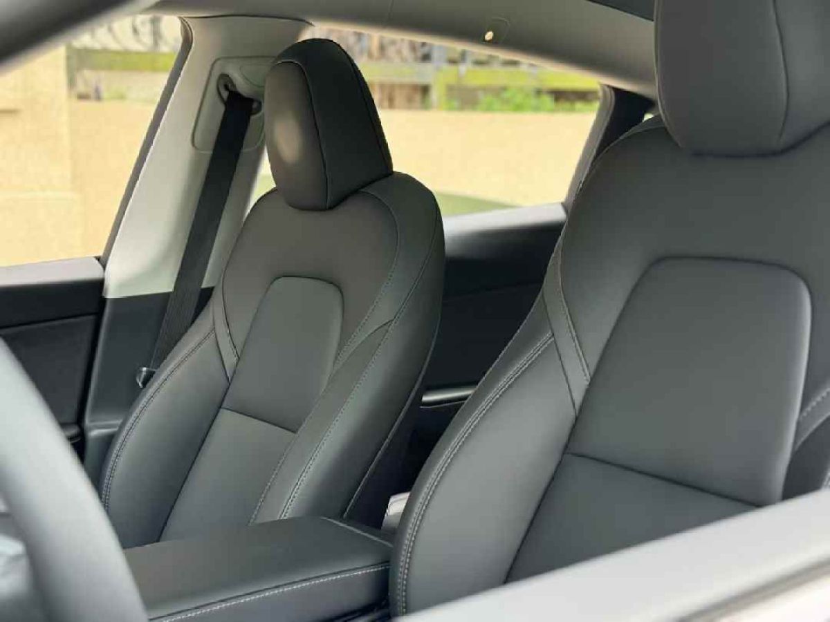 特斯拉 Model Y  2022款 后驅(qū)版圖片