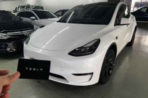 Model Y 特斯拉 Performance高性能全輪驅(qū)動版