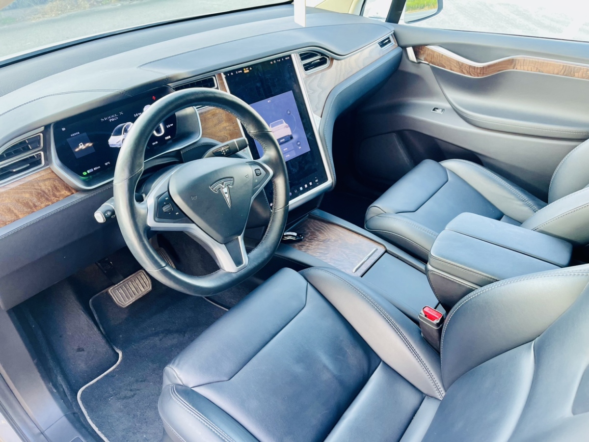 特斯拉 Model X  2019款 标准续航版图片