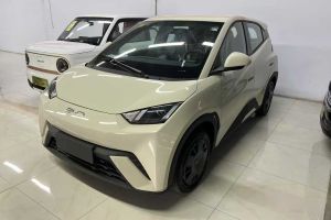 海鷗 比亞迪 305km 活力版