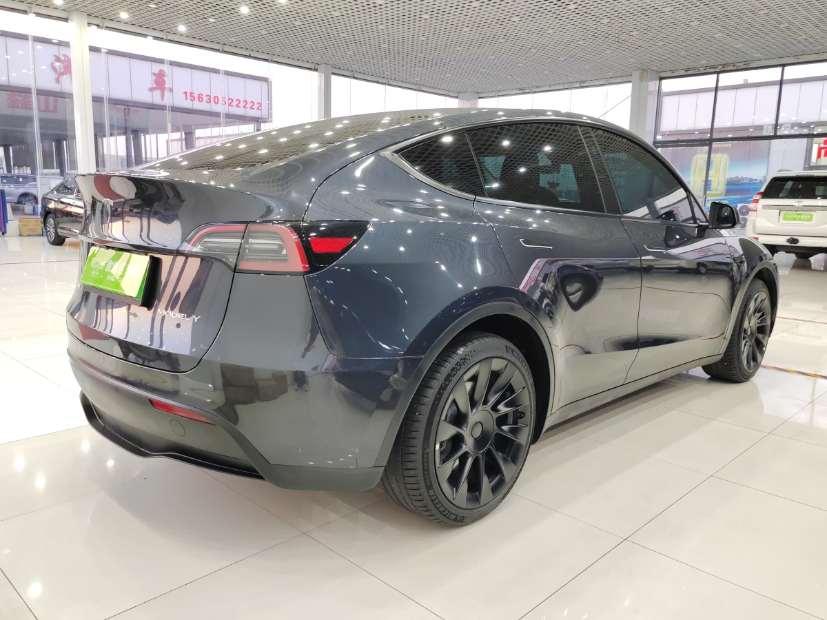 特斯拉 Model Y  2020款 改款 長續(xù)航后輪驅(qū)動(dòng)版圖片