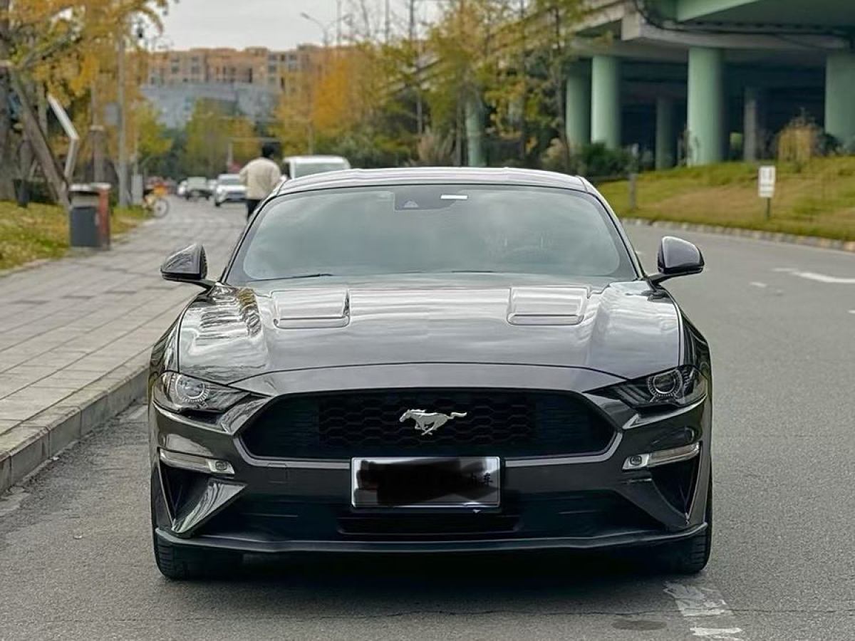 福特 Mustang  2019款 2.3L EcoBoost圖片