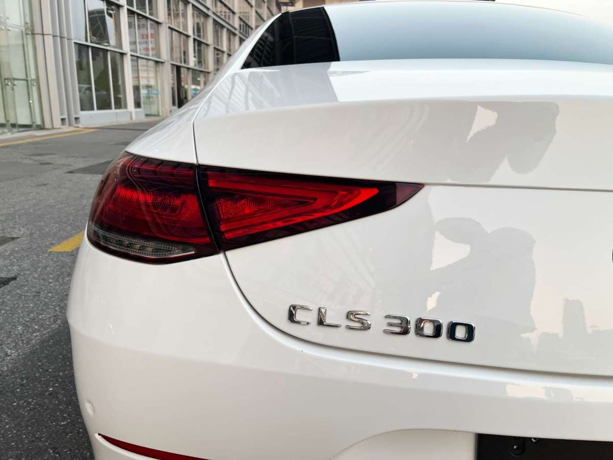 奔馳CLS級 2018款 CLS 300 豪華型圖片