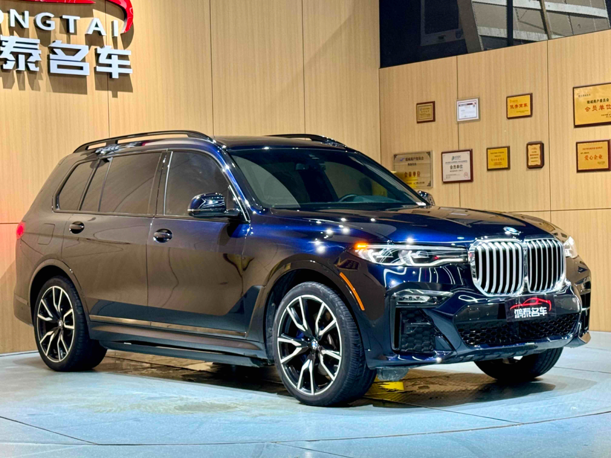 寶馬 寶馬X7  2019款  xDrive40i 領(lǐng)先型豪華套裝圖片