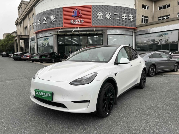 特斯拉 Model Y  2021款 改款 Performance高性能全轮驱动版