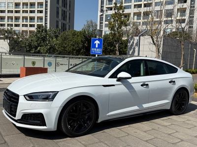 2019年4月 奧迪 奧迪A5(進(jìn)口) Sportback 45 TFSI 運(yùn)動(dòng)型圖片