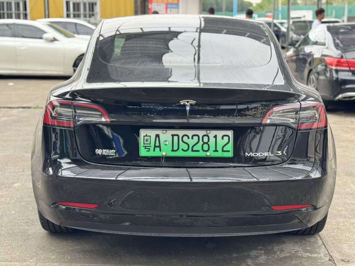 特斯拉 Model 3  2019款 標(biāo)準(zhǔn)續(xù)航后驅(qū)升級版圖片