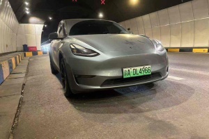 Model Y 特斯拉 后轮驱动版