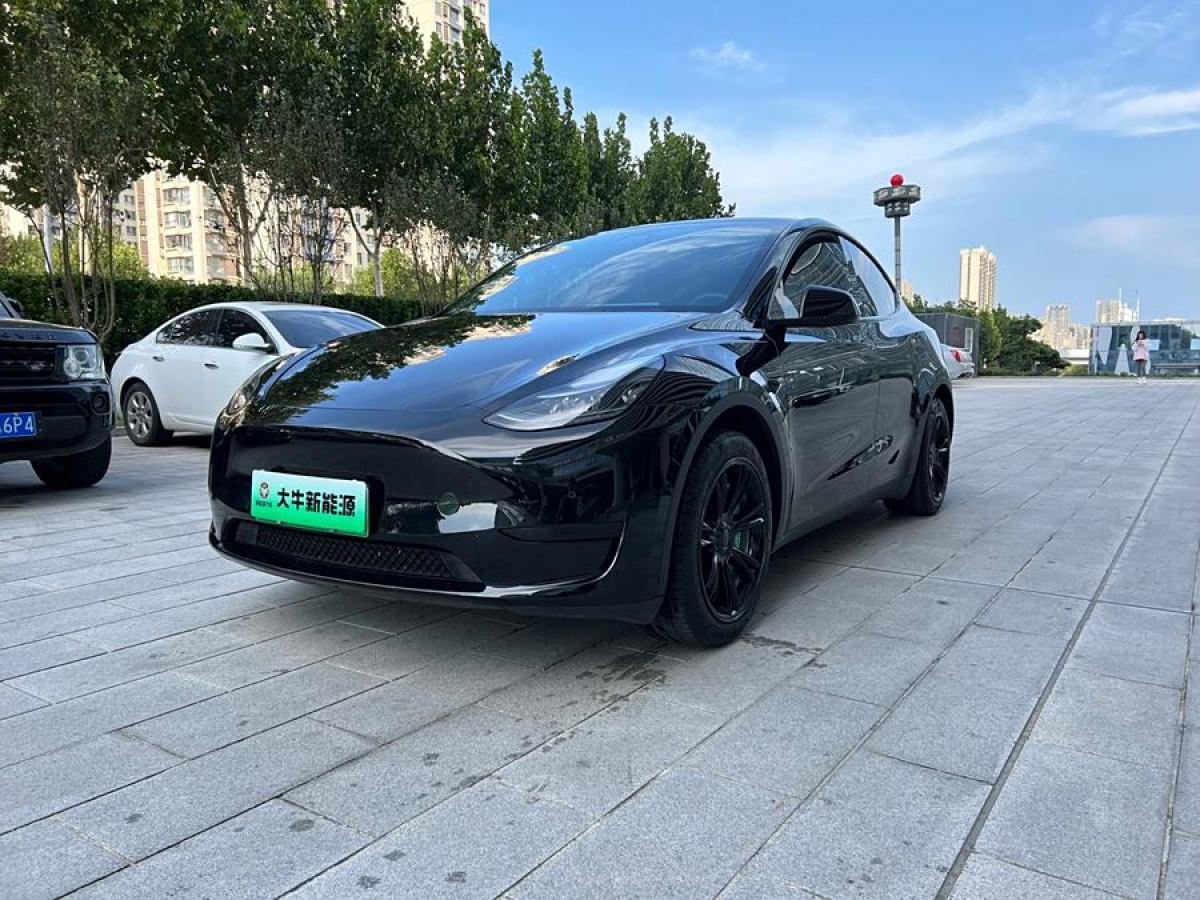 2023年3月特斯拉 Model Y  2020款 改款 長續(xù)航后輪驅動版