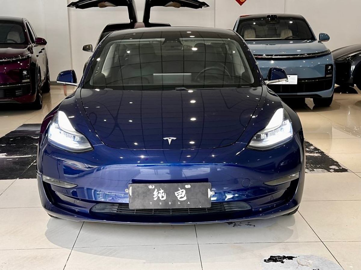 2019年7月特斯拉 Model 3  2019款 長續(xù)航后驅(qū)版